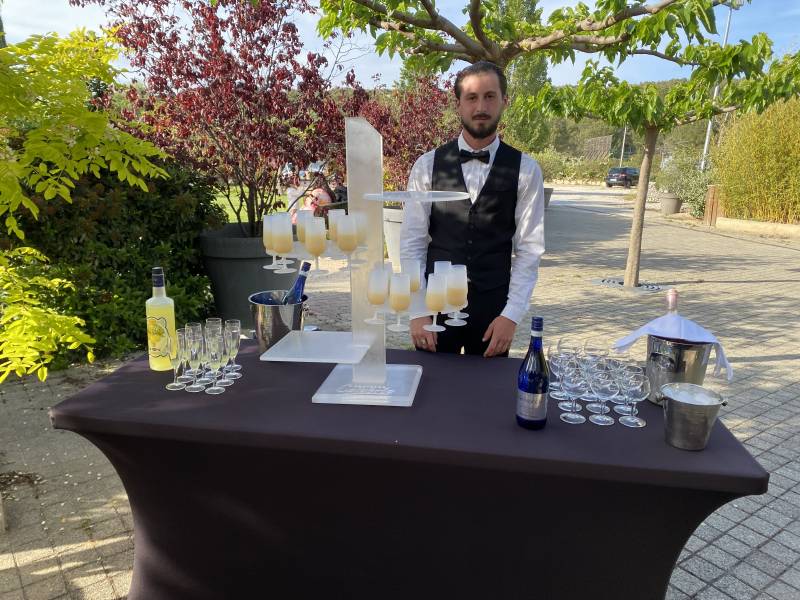 Salle de réception pour mariage et événement Domaine de L'Espillier à Saint-Mitre les Remparts